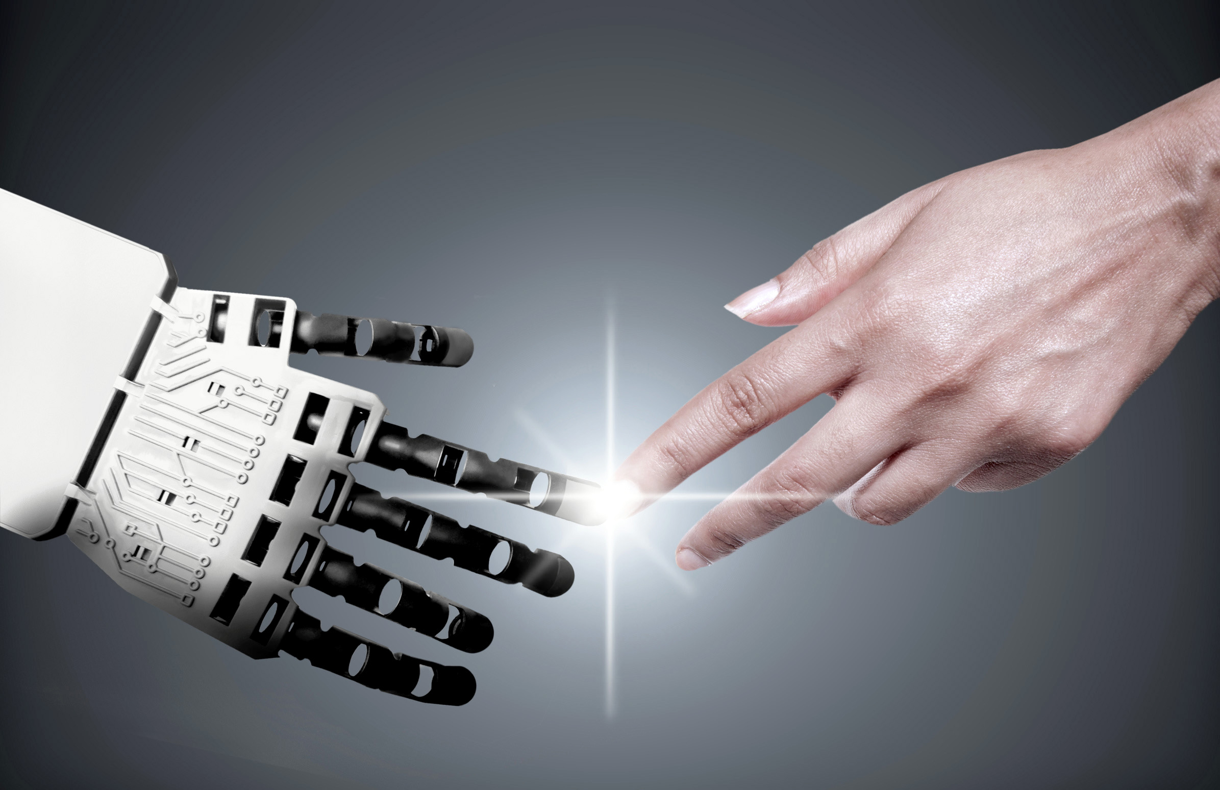 Pixelbliss - Fotolia