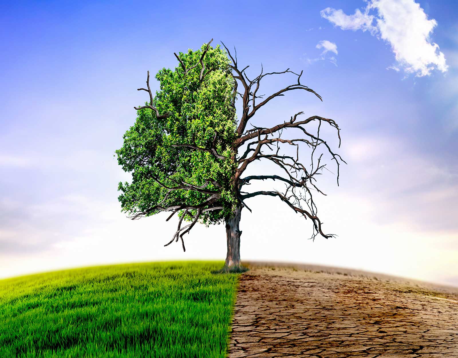 https://beymedias.brightspotcdn.com/4b/88/a2e17168c978ad9a93a79870e96d/transition-climatique-adobestock-253749906.jpg
