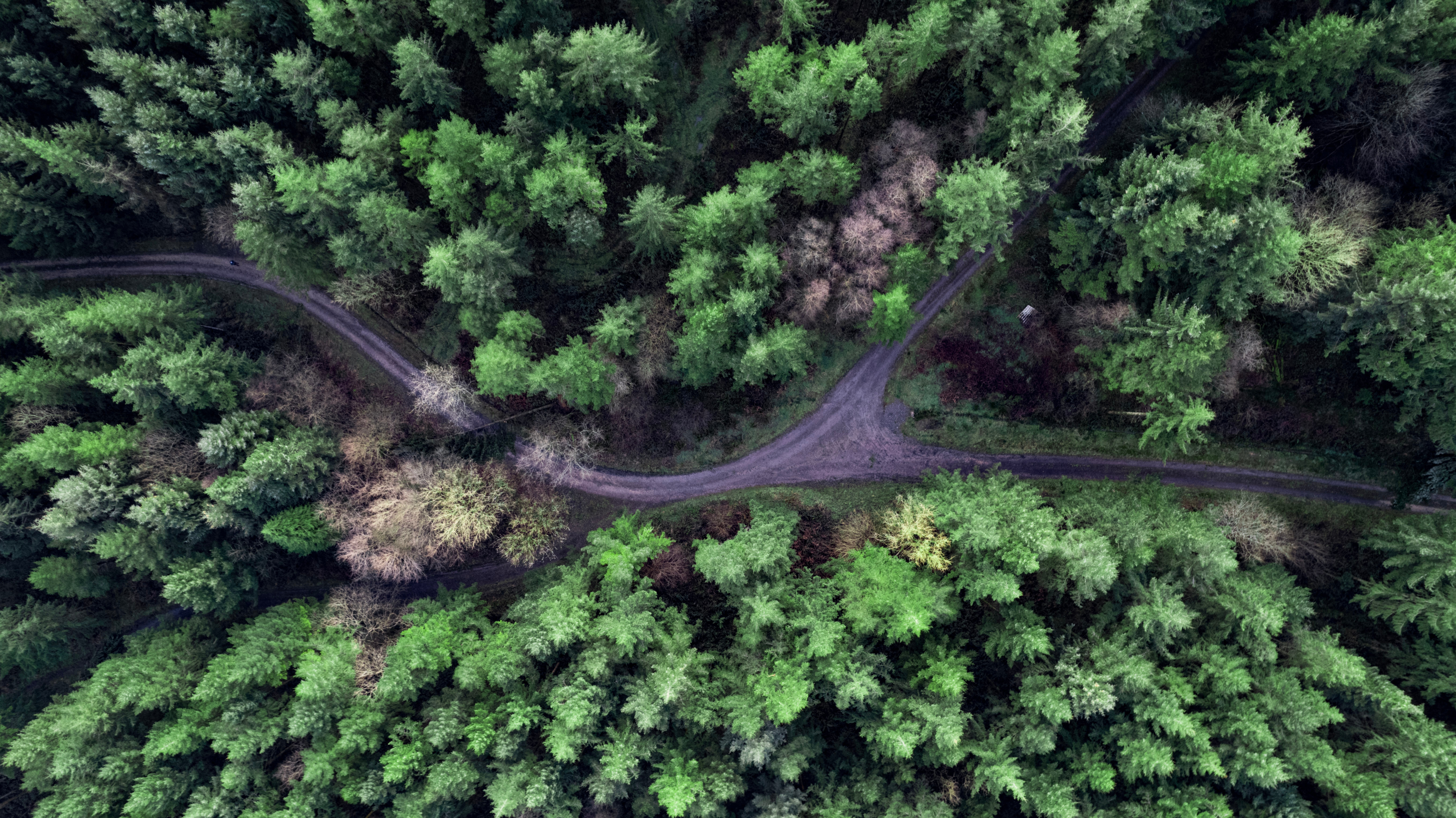 Shaun - stock.adobe.com