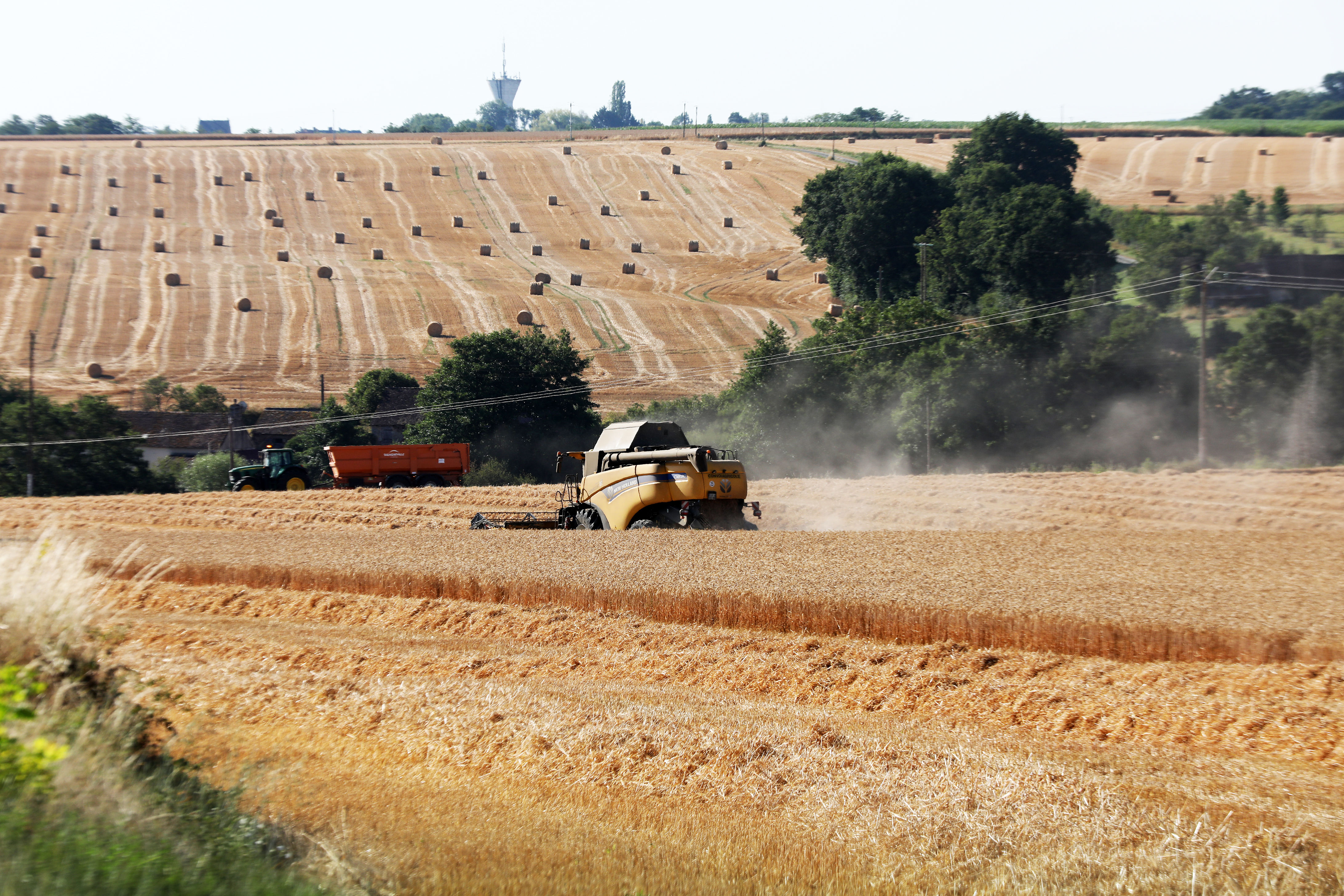 Canicule et sécheresse : l'agriculture française face au mur de l'adaptation au changement climatique