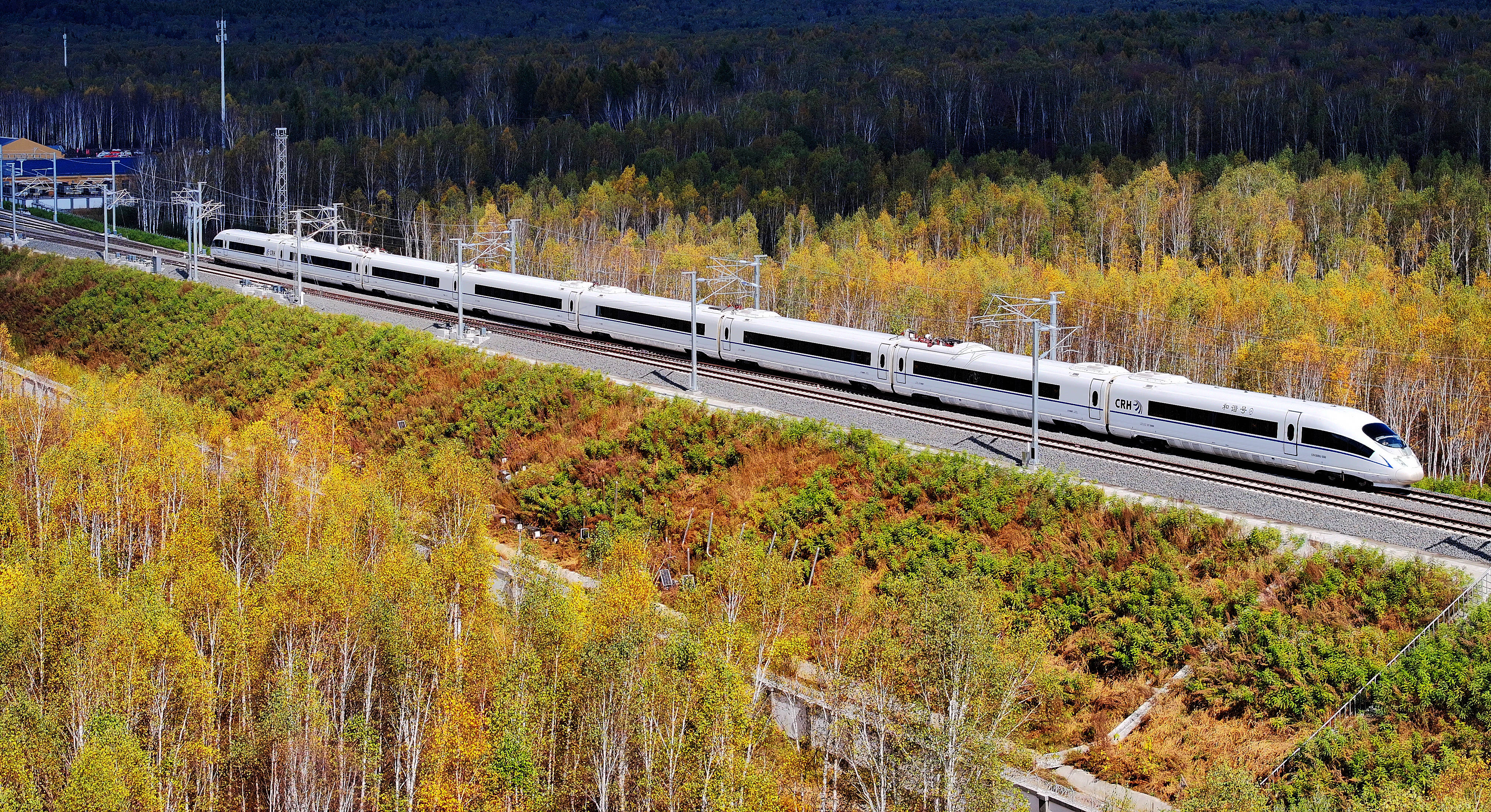 Le train, une bataille mondiale décryptée