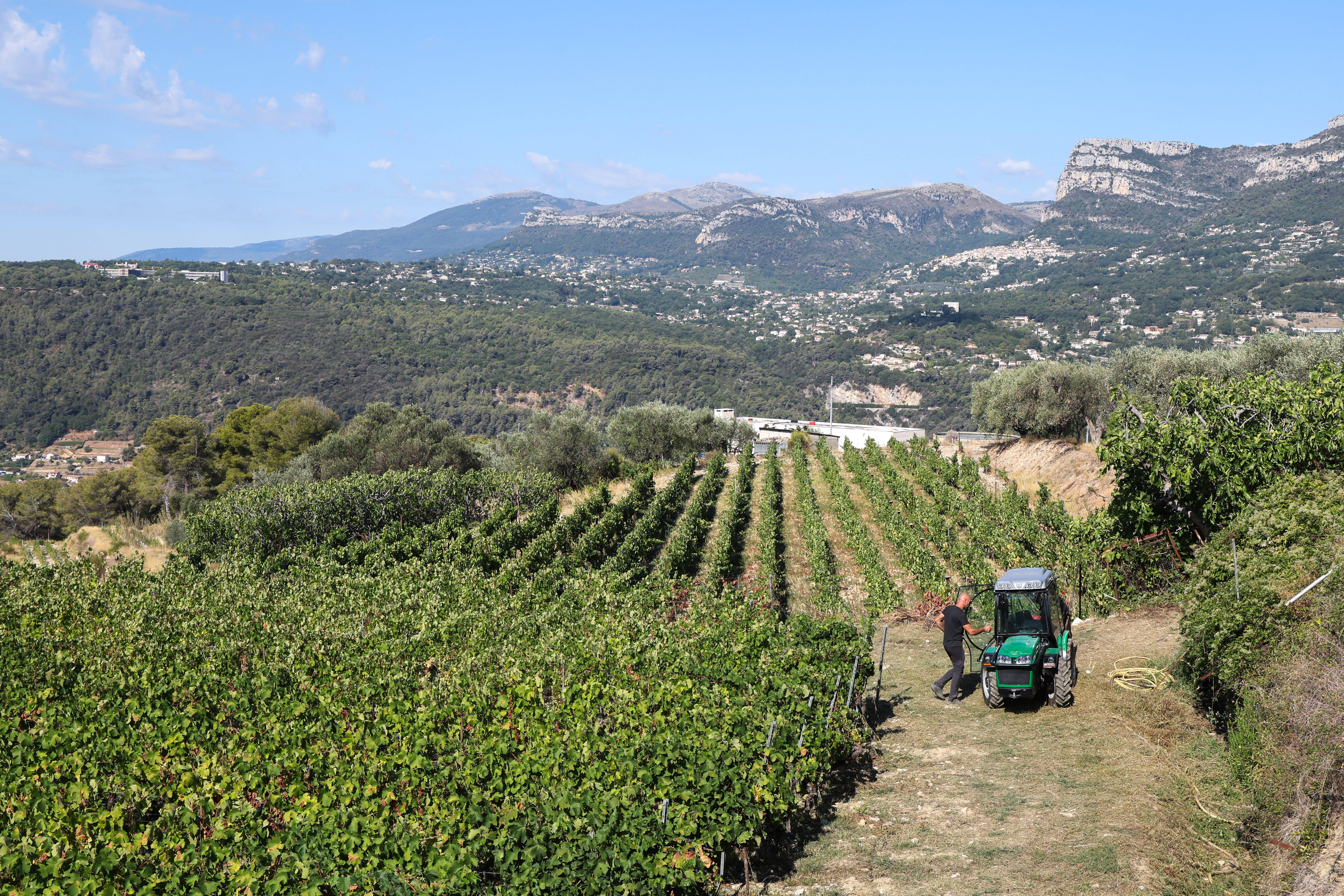 Les liens, cultivons-les ! – par Samuel Montgermont