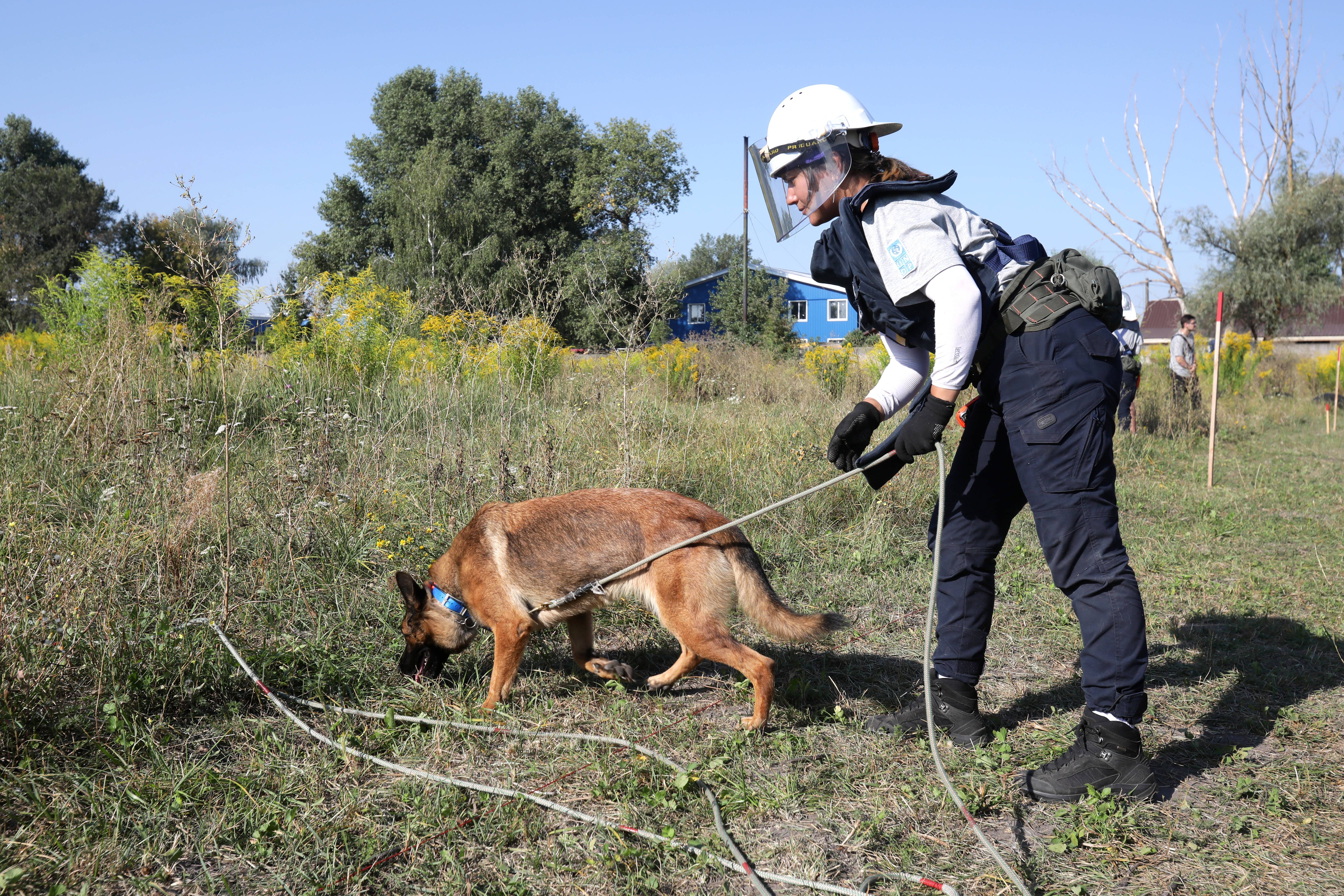 Les mines antipersonnel ont la cote et tuent toujours plus