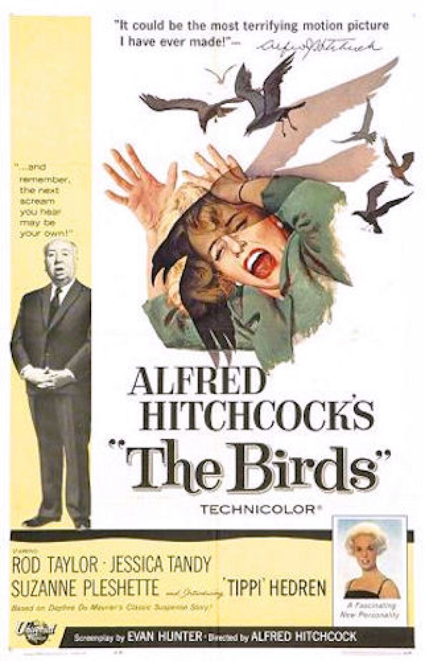 the-birds-original-poster-0.jpg