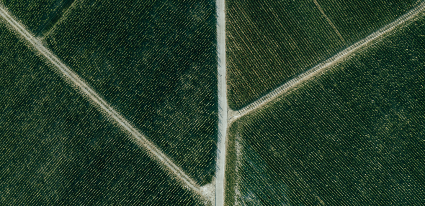 Dom Pérignon sublime une année mythique