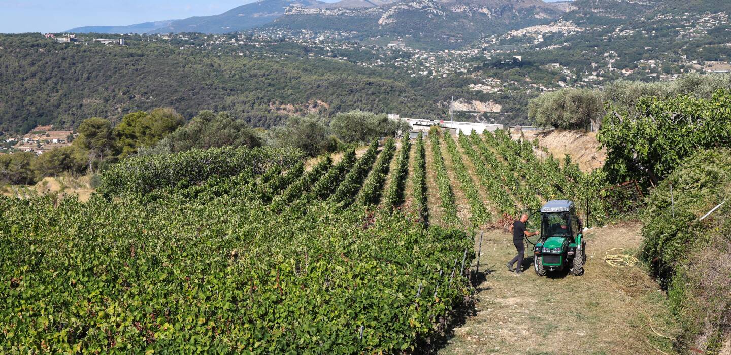 Les liens, cultivons-les ! – par Samuel Montgermont