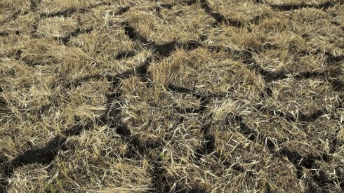 Phénomène climatique risque climat sécheresse