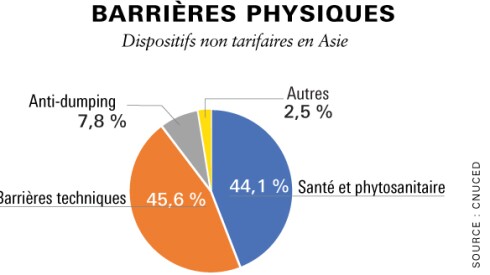 p14.jpg