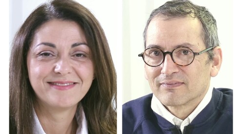 p14.jpg