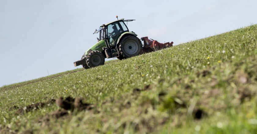 agriculture-france-sipa.jpg