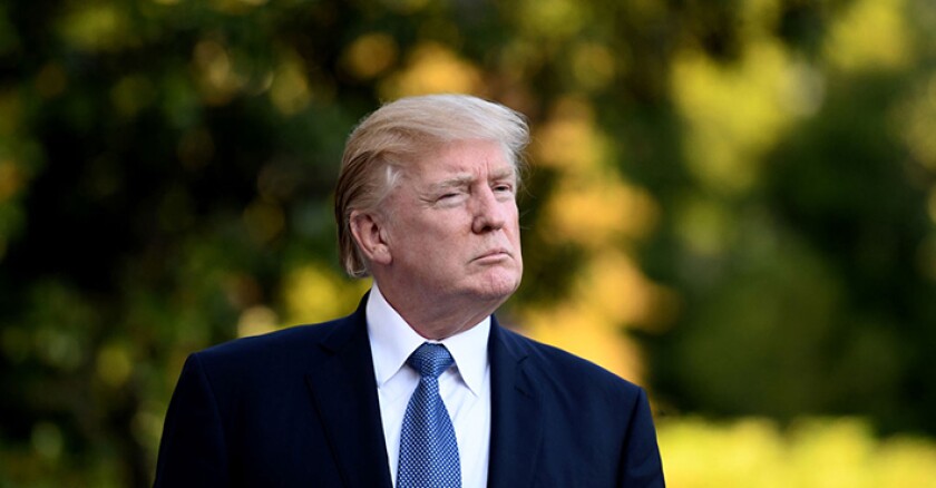 trump18.jpg