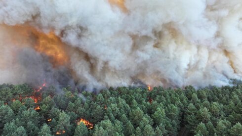 La forêt de Fontainebleau (Seine-et-Marne), au sud-est de Paris, a parcouru près de 1 000 hectares selon les autorités