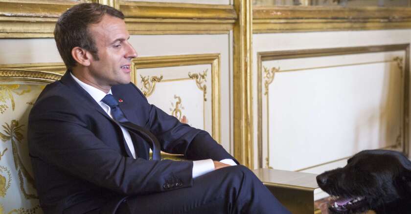 emmanuel-macron-elysee.jpg