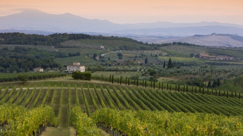 ARTS CHIANTI