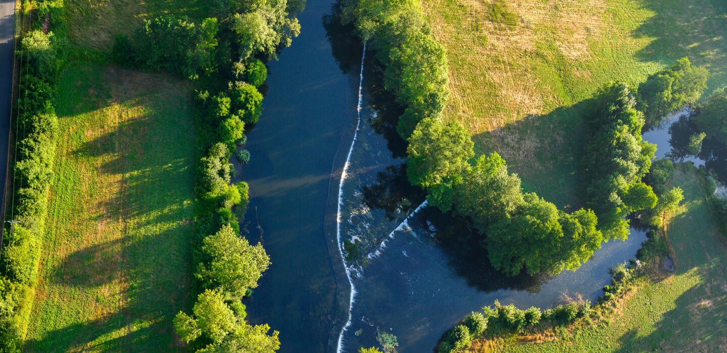 Agriculture : l’arrêté kafkaïen du gouvernement sur les haies