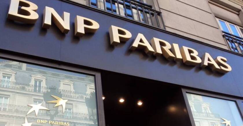 bnp.jpg