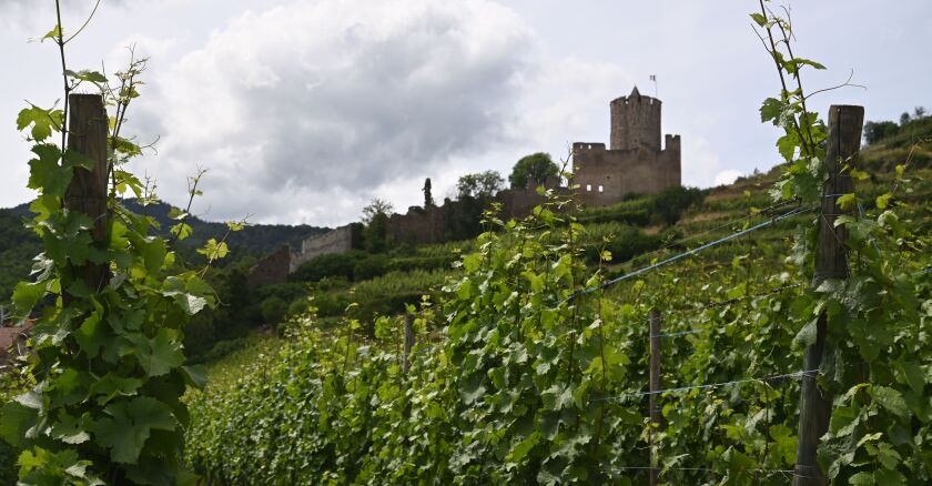 DSC_1020.jpg