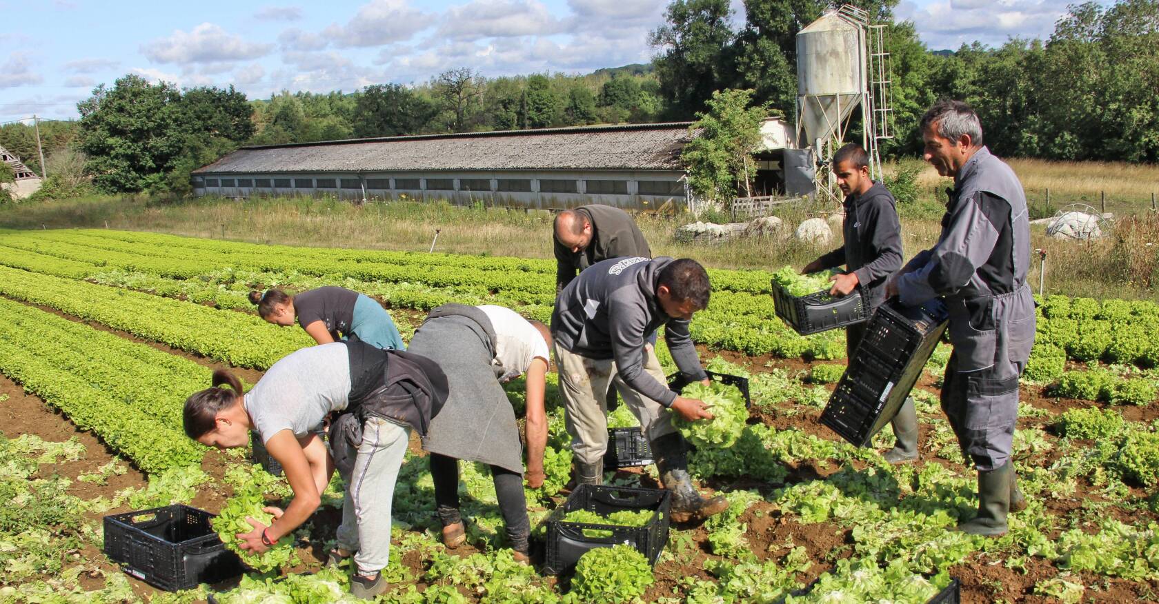 Agriculture la maind'œuvre immigrée vue d'un bon œil l'Opinion