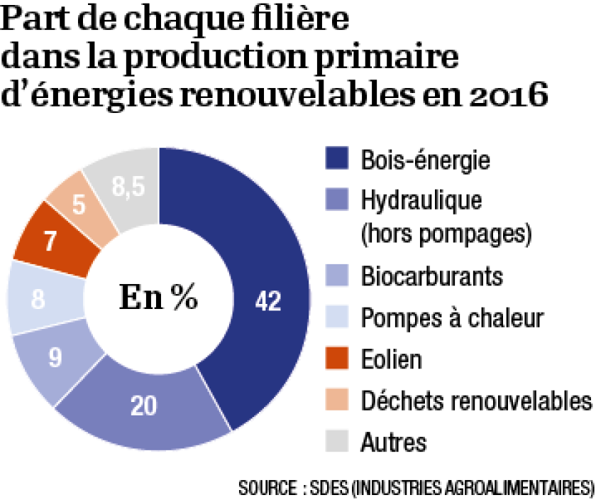 infog-production-primaire-renouvelables.png