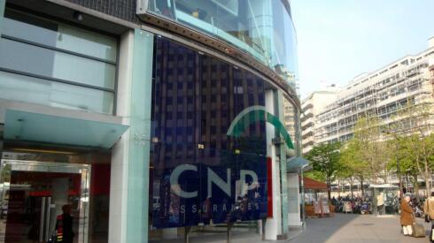 web-cnp-0.jpg