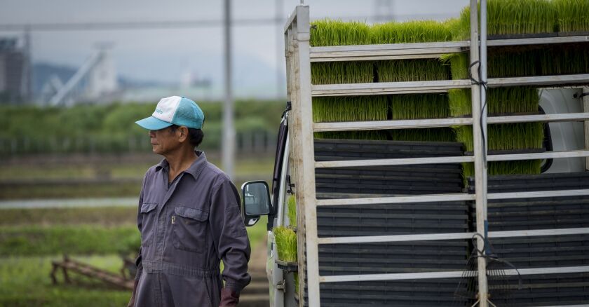 Japon agriculture 16/03/2022 L