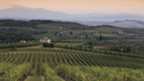 ARTS CHIANTI