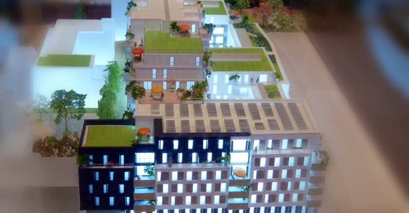 immobilier.jpg