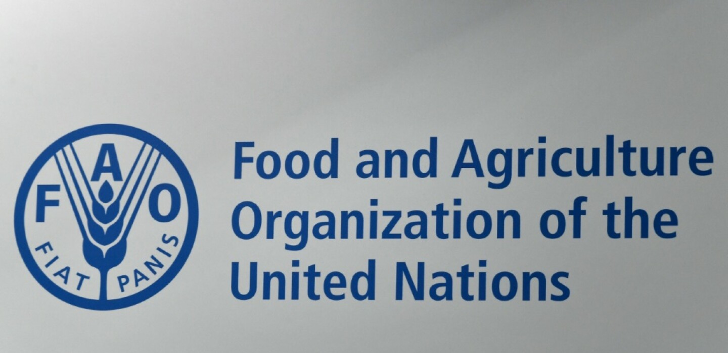 Les prix alimentaires mondiaux ont diminué de 2,1 % en 2024