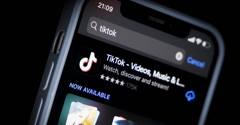 TikTok Reports USD 1 Billion Turnover