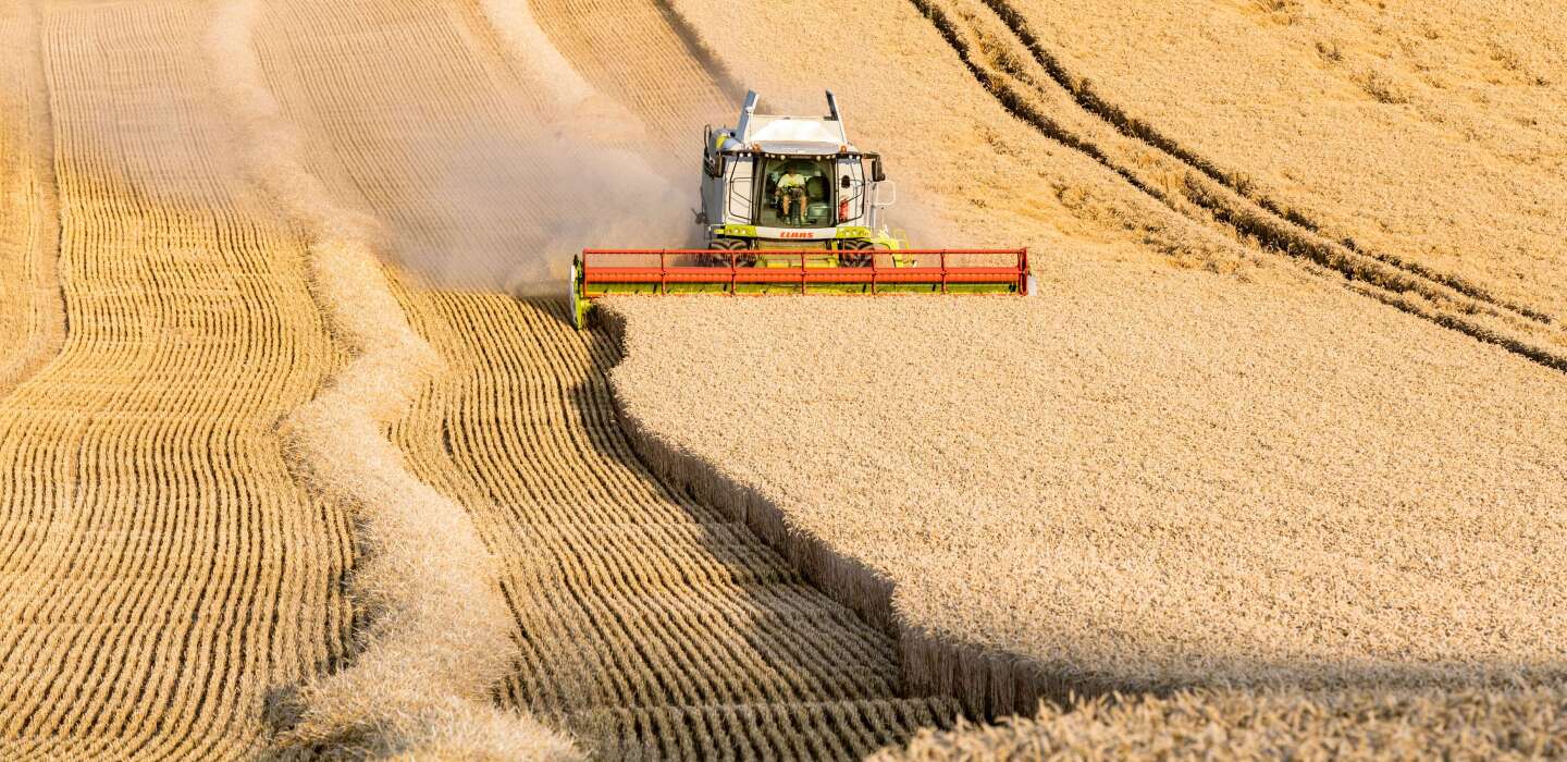 L’export, indispensable à la souveraineté alimentaire française