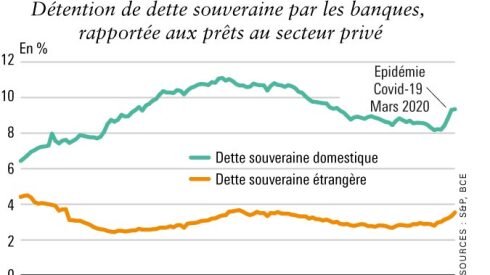eco-alexandre.jpg