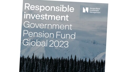 Fonds souverain norvégien NBIM Global Pension Fund