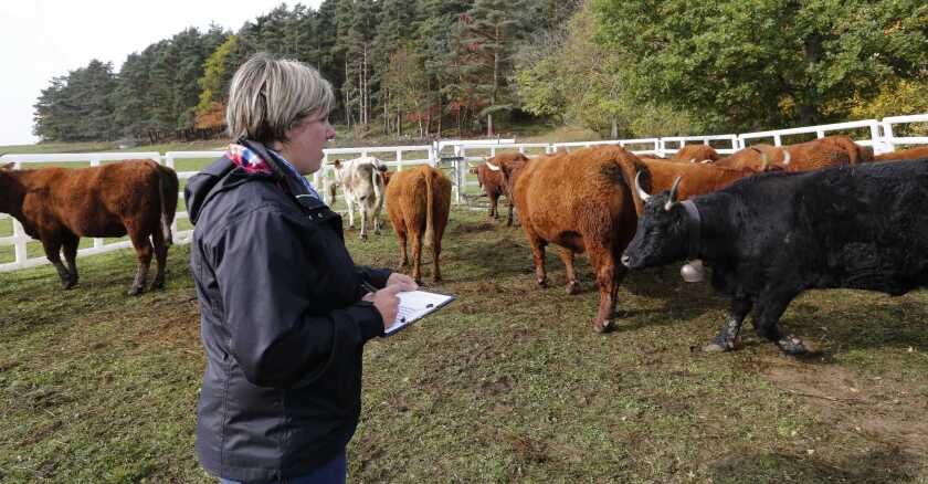 controle-agricole-sipa.jpg