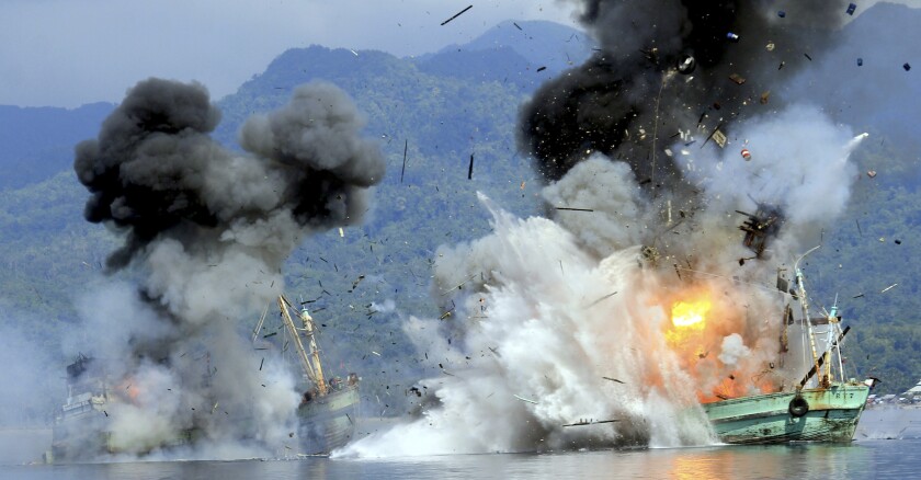 indonesie-explosion-braconniers-reuters.jpg